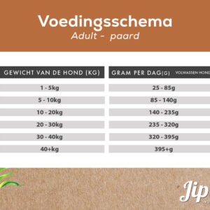 Jip's adult - Pferd – Bild 3
