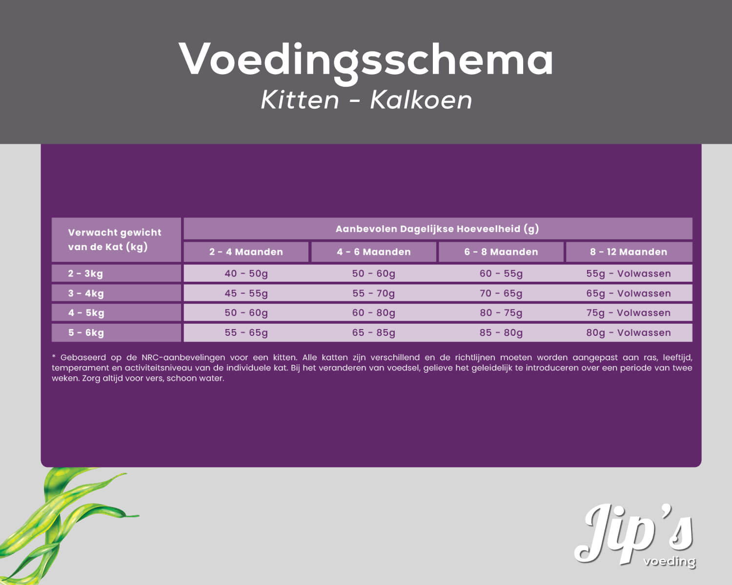 Voedingsschema voor Jips kittenvoer