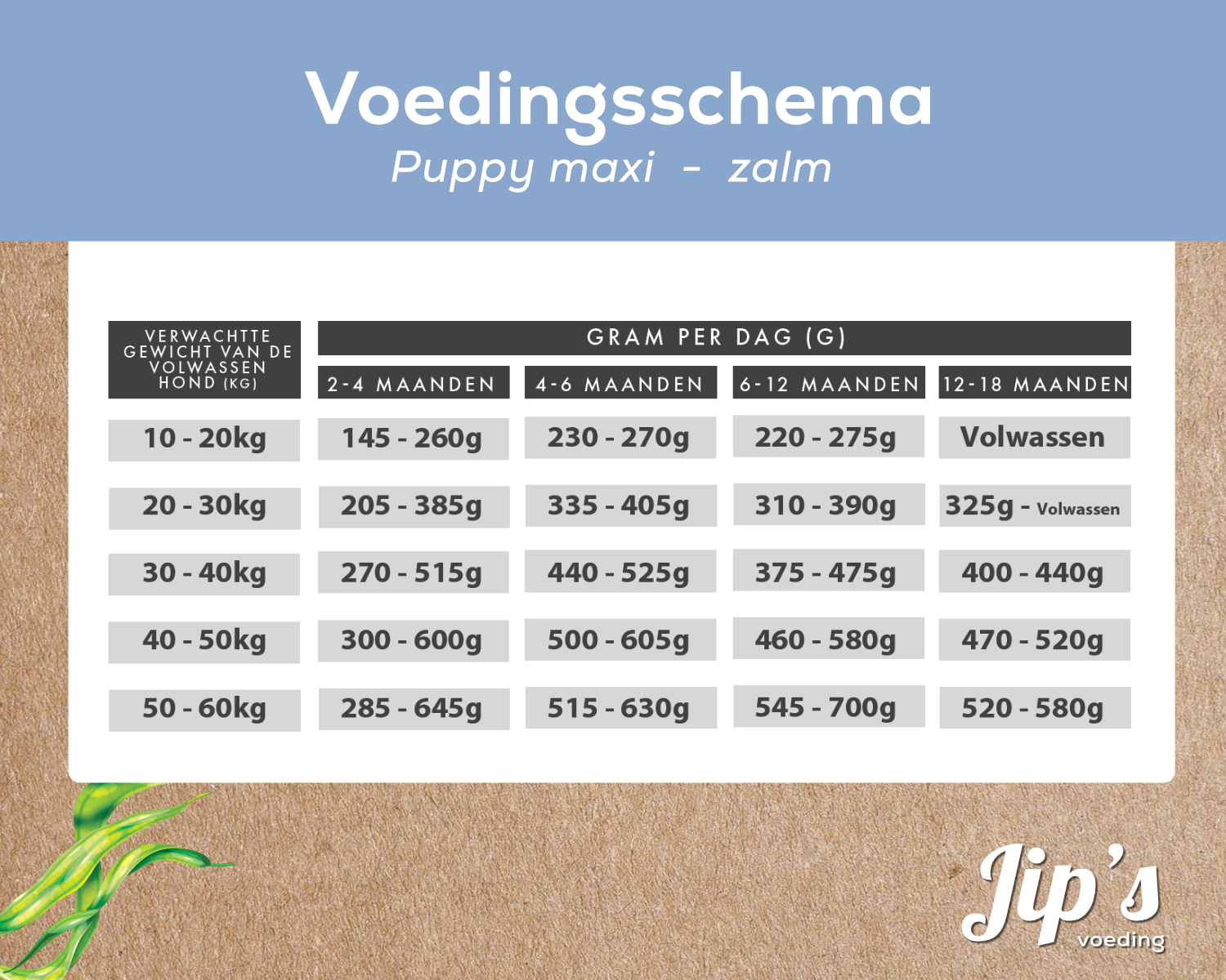 Fütterungsplan für Jips Hundefutter Welpe maxi Lachs.