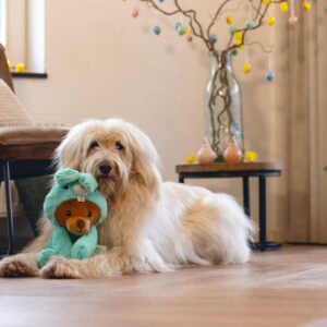Alternative view of Jips Pasen pakket hond
