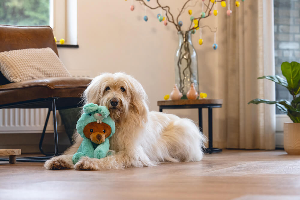 Jips Osterpaket Hund – Bild 2