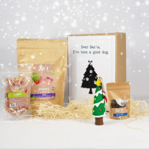 Weihnachtsgeschenk Hund - klein - Stiftung Kfaaf
