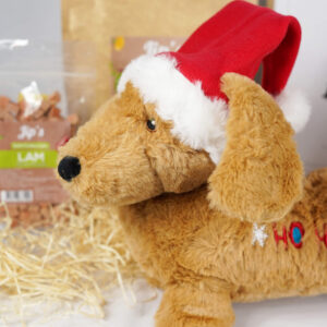 Weihnachtsgeschenk Hund - groß - Stiftung Kfaaf – Bild 2