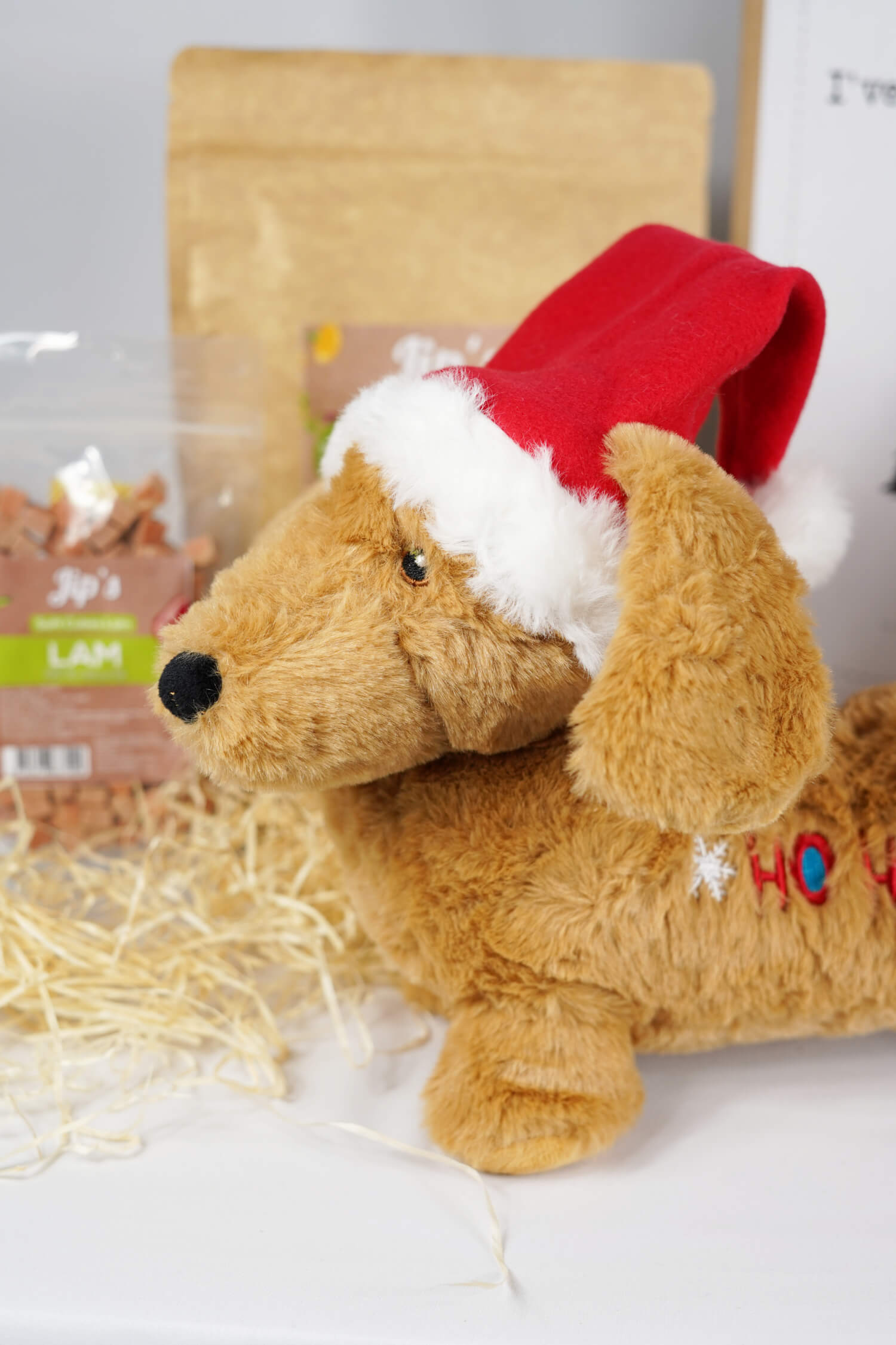 Weihnachtsgeschenk Hund - groß - Stiftung Kfaaf – Bild 2
