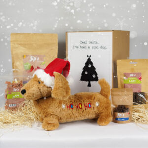 Weihnachtsgeschenk Hund - groß - Stiftung Kfaaf