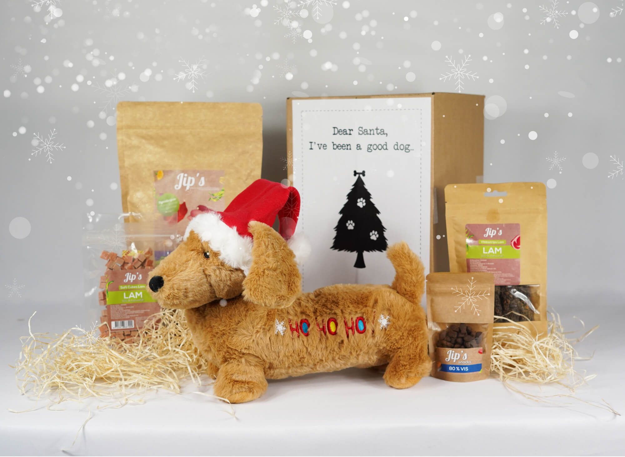 Weihnachtsgeschenk Hund - groß - Stiftung Kfaaf