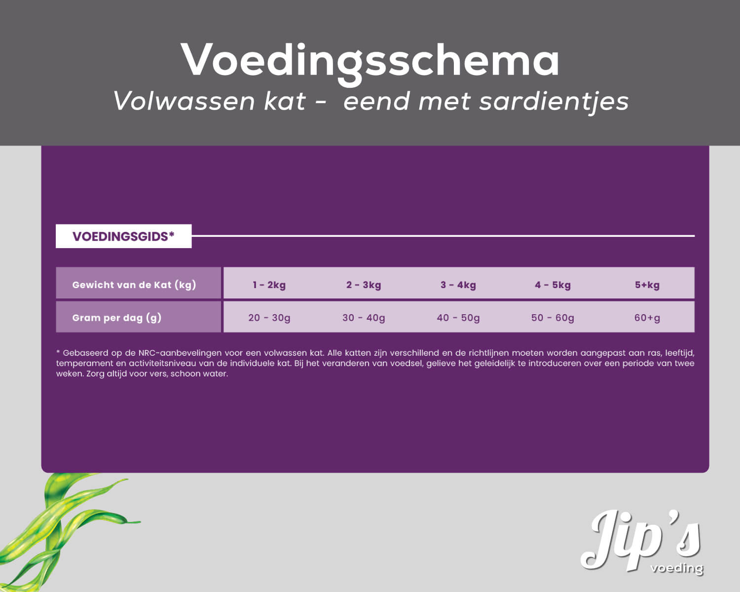 Jip's Katzenfutter - Ente mit Sardinen – Bild 3