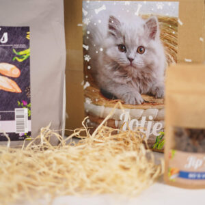 Jip's Kätzchen Pack – Bild 3
