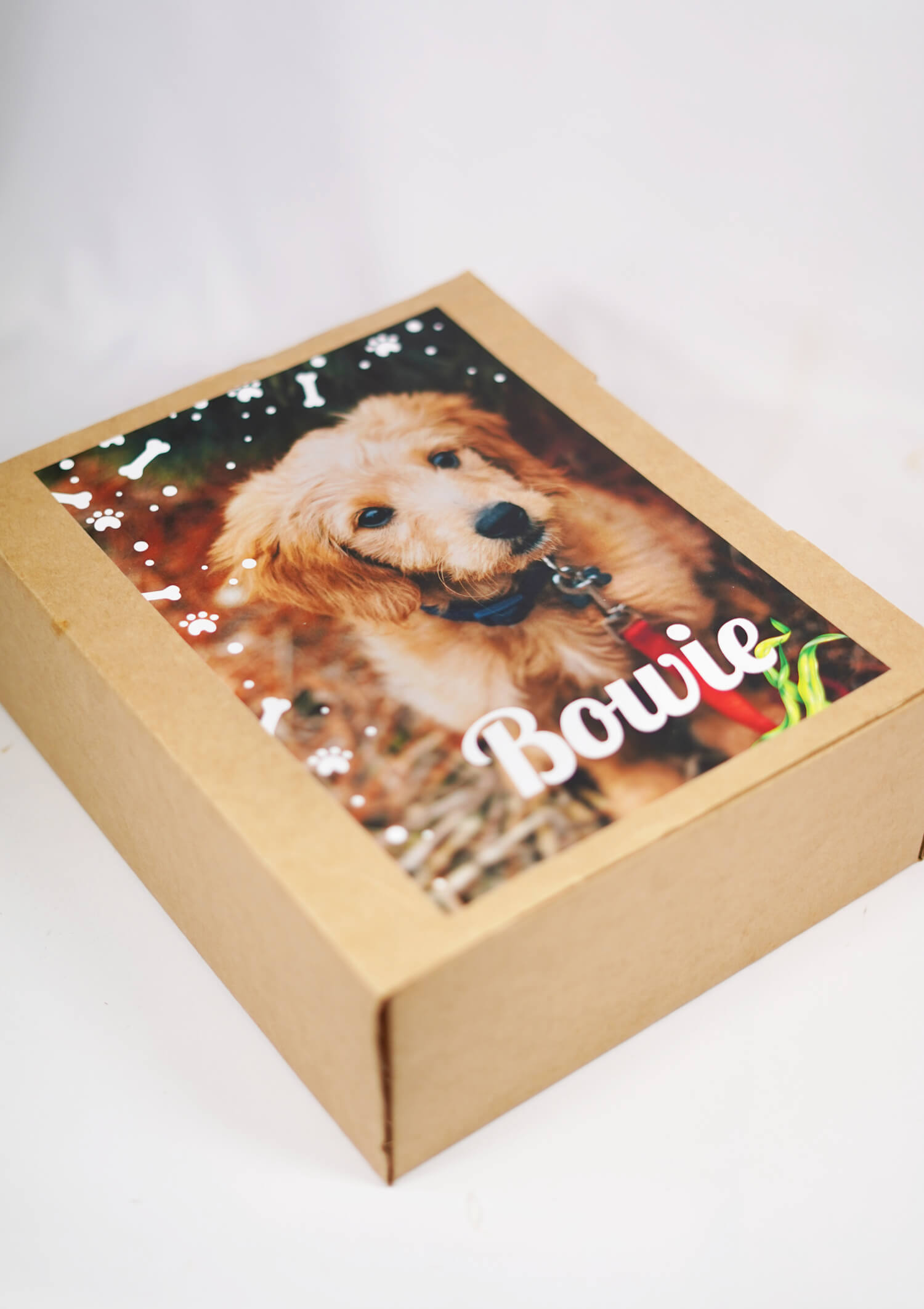 hondenvoer pakket puppy