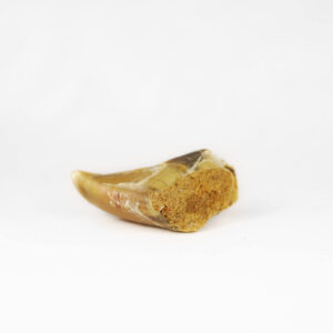Kalfshoef met pate
